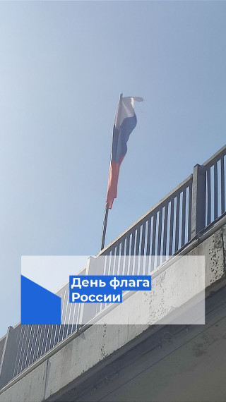 22 августа - День государственного флага РФ.